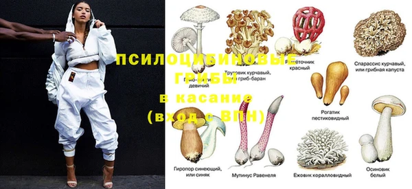прущая мука Навашино