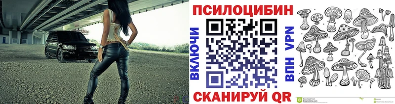 kraken как войти  Остров  Псилоцибиновые грибы мицелий 