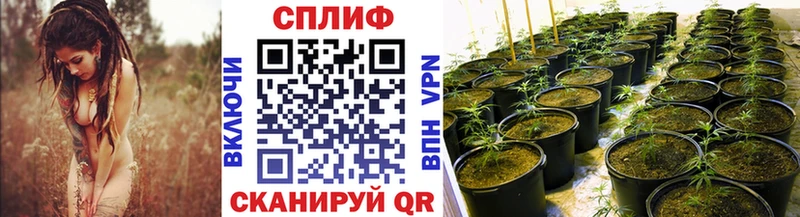 Бошки марихуана SATIVA & INDICA  Остров 